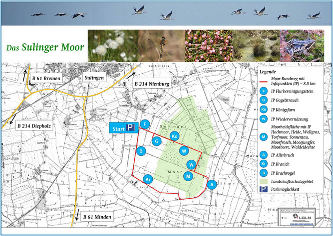 Moor-Rundweg im Sulinger Moor (durch einen Klick auf das Bild als Flyer von der Internetseite der Stadt Sulingen herunterladen)