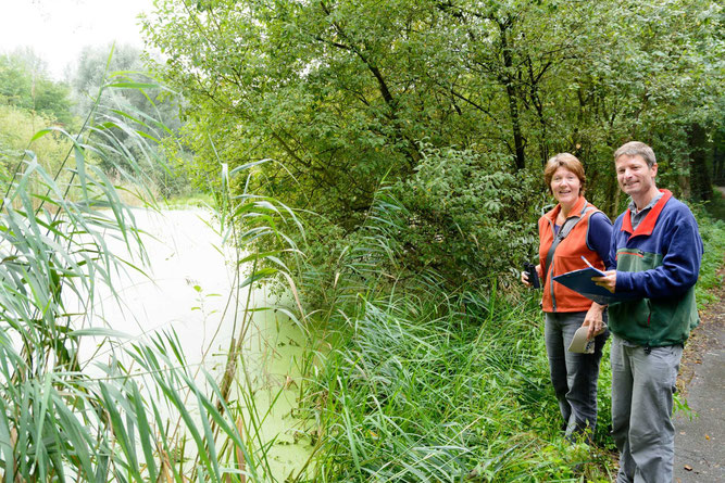 Schutzgebietsbetreuung am Weiherwaldsee, Foto: W. Geiselmann