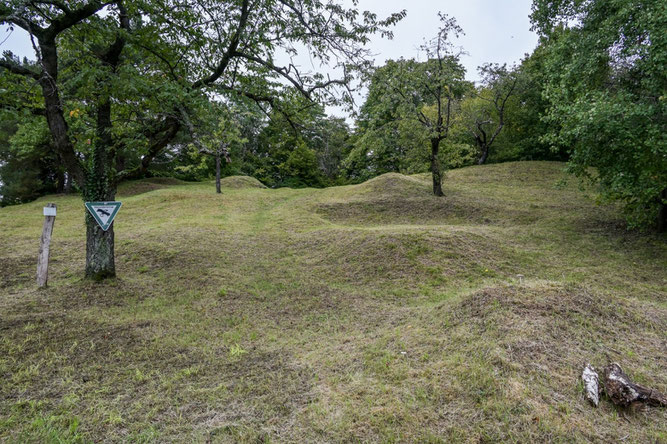 Haselstein mit Steppenheide