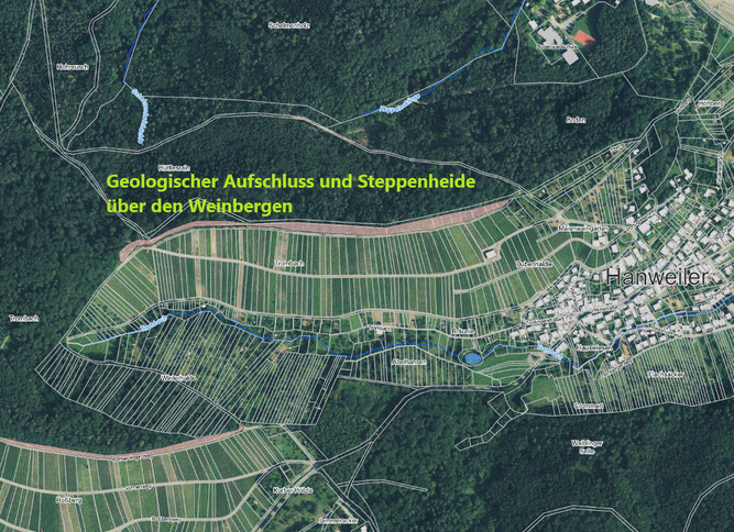 Kartenausschnitt Geologischer Aufschluss und Steppenheide über den Weinbergen