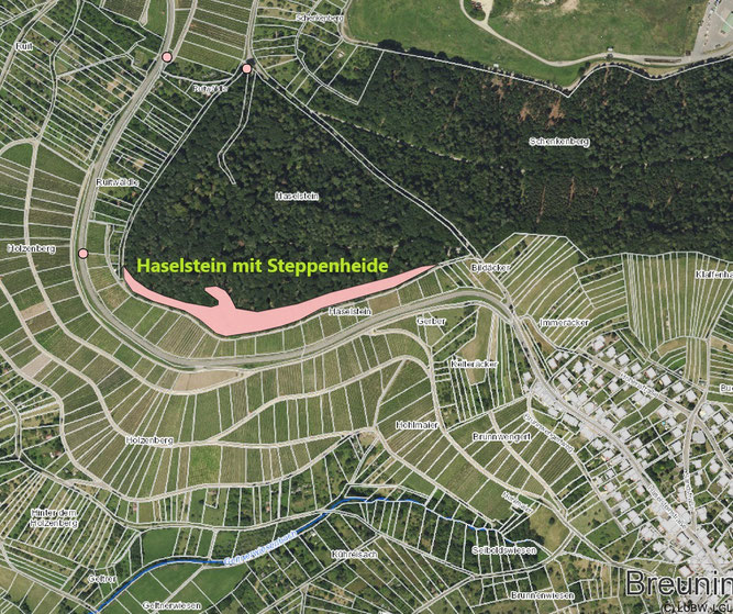 Kartenausschnitt Haselstein mit Steppenheide