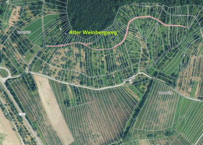 Kartenausschnitt Geologischer Aufschluss und Steppenheide über den Weinbergen