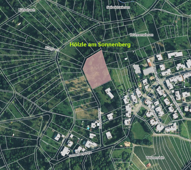 Kartenausschnitt Hölzle am Sonnenberg