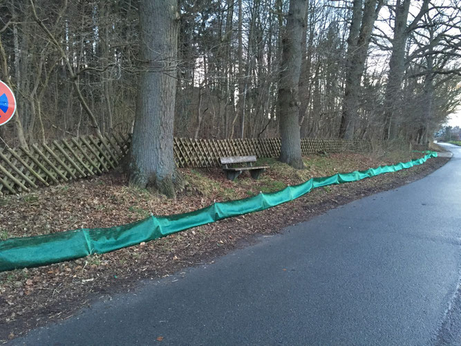 Zaun in Eyendorf - Krötenwanderung wurde uns von einer Anwohnerin gemeldet, die uns nun aktiv unterstützt