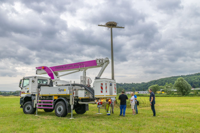 Kurze Besprechung vor der geplanten Beringung (Foto: Henrike Budig)