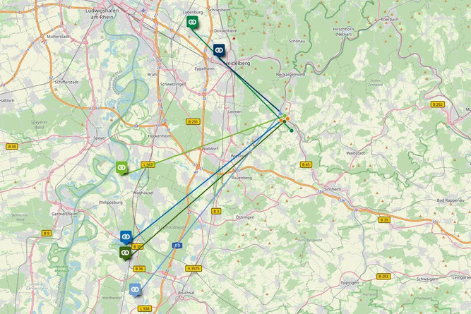 Karte mit Beobachtungs- und Beringungsorten der Störche in Mauer 2025 (Erstellt von Henrike Budig)