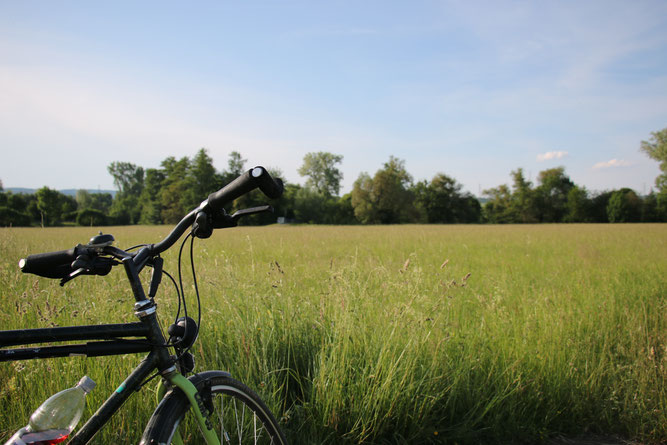 Mit dem Fahrrad unterwegs (Foto: B. Budig)