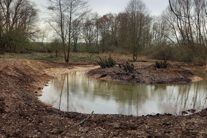 Naturschutz mit dem Bagger: Das Biotop nach der Reaktivierung 2022. Foto: Stadt Gießen