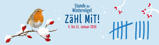 Ein Rotkehlchen links auf einem verschneiten Hagebuttenzweig freigestellt vor einem Hellblauen Hintergrund mit weißen Schneeflocken und gezeichneten weiteren Hagebutten. In Blau rechts eine Strichliste. In der Mitte ein Aufruf zum Mitzählen.