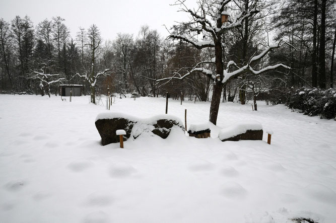 Auch im Winter schön... Foto: D. Westphal