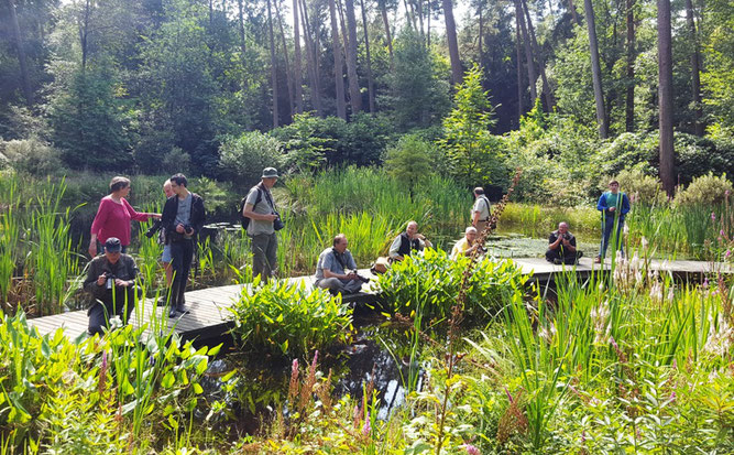 Den Libellen auf der Spur im Rhodopark Gristede. Foto: Sandra Bischoff