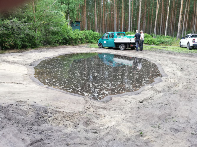 Teich für Turteltauben. Foto: Inken Gerlach