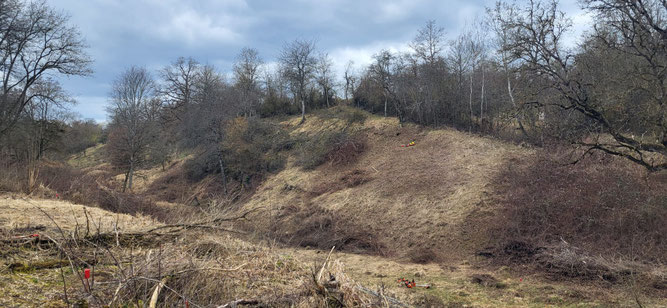 Buchgraben während der Landschaftspflege-Saison im Frühjahr 2026. Copyright: Yannick Mauch.