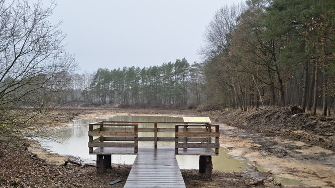 Beobachtungsplattform am Libellenbiotop. Bildautor, J. Mattes, ÖNSOR