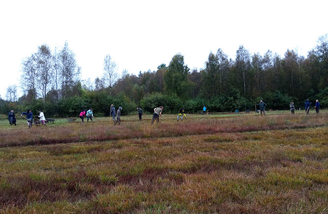 Teilnehmende des Landschaftspflegeeinsatzes, Foto: ÖNSOR, S. Pils