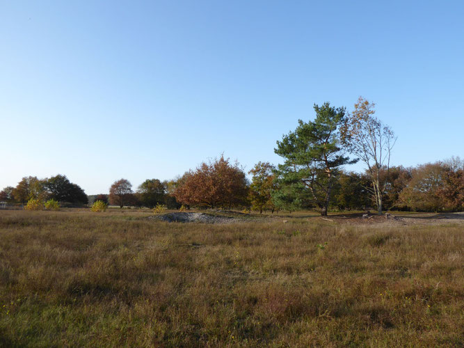 Blick auf das Dünengebiet bei Unterstedt. Foto: S. Pils