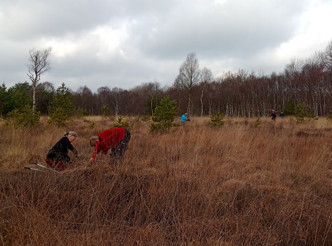 Ehrenamtliche Helfer des NABU im Einsatz, Foto: ÖNSOR, Sarina  Pils