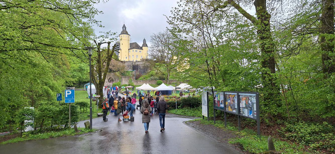 Blick auf Schloss Homburg (tmc)