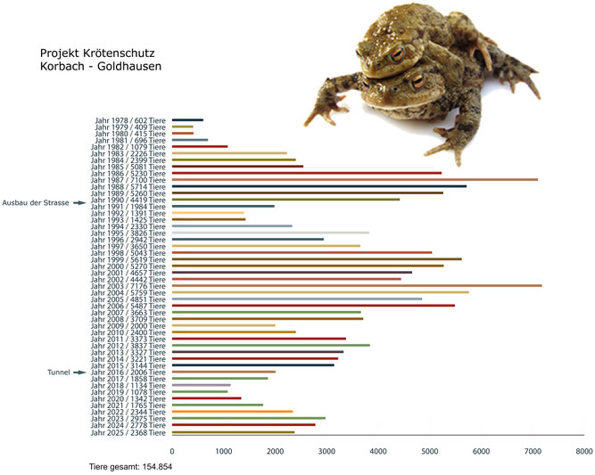 Statistik Amphibienzaun Goldhausen bis 2017