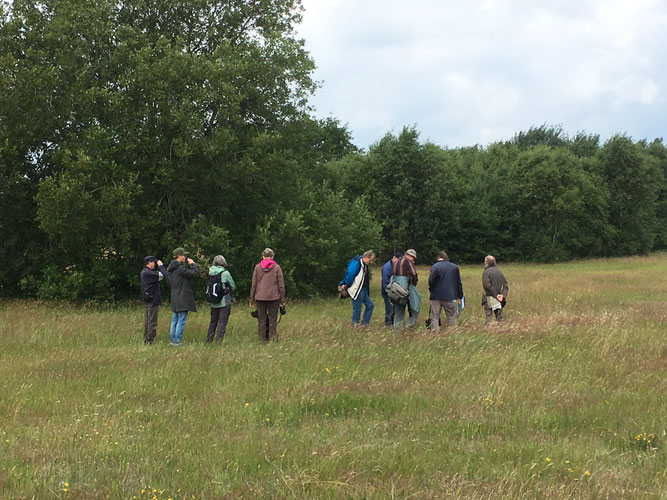 Wanderung durch blühende trockene Wiesen (Foto: Helmut Hanssen)