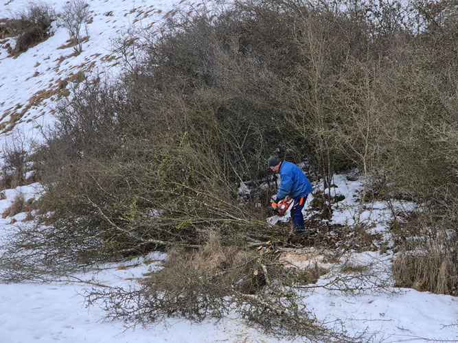 Foto: Simon Goedecke