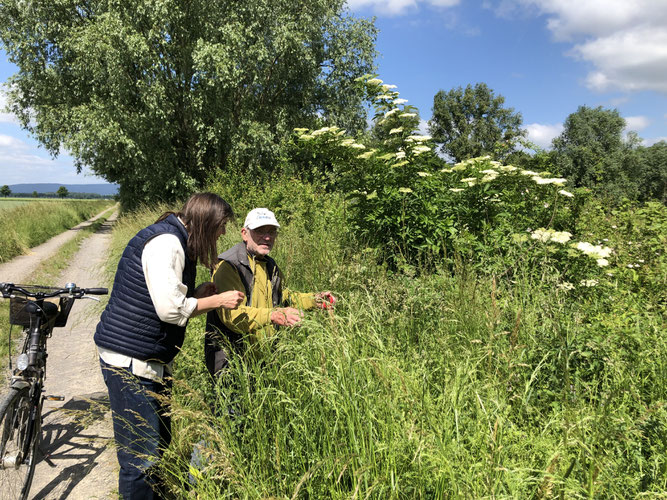 Eine Frau und ein Mann stehen am Wegesrand in hohem Gras