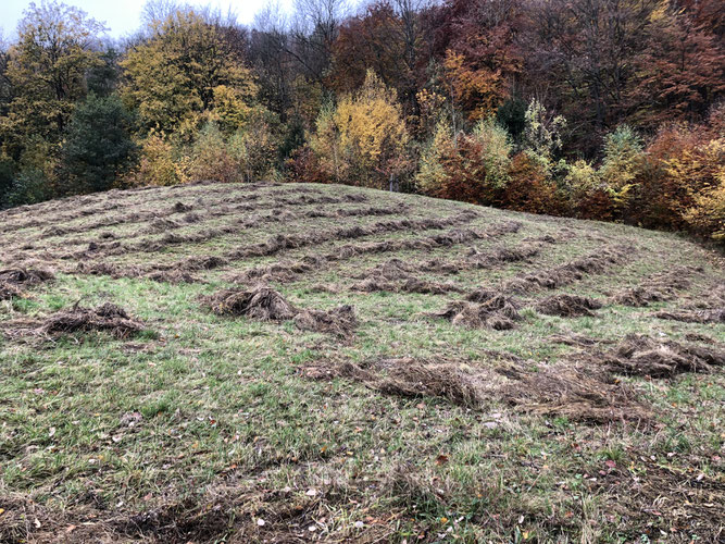 Hügel mit trockenen Grashaufen