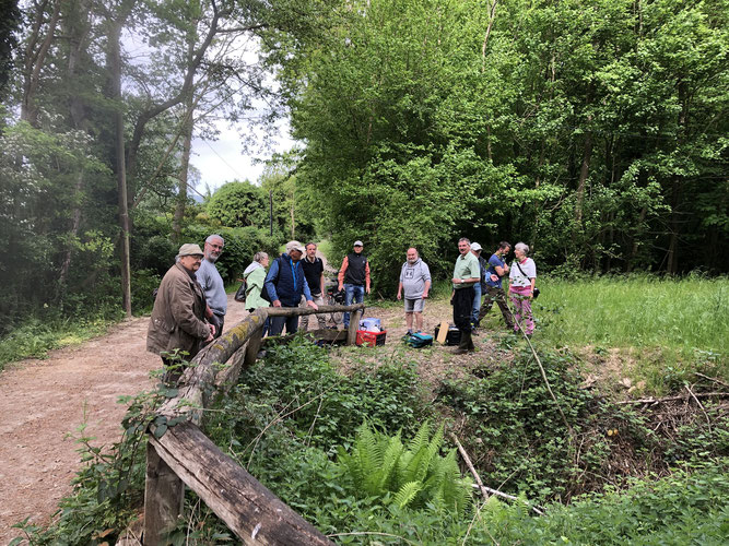 Gruppe steht auf einer Brücke über den Fluss