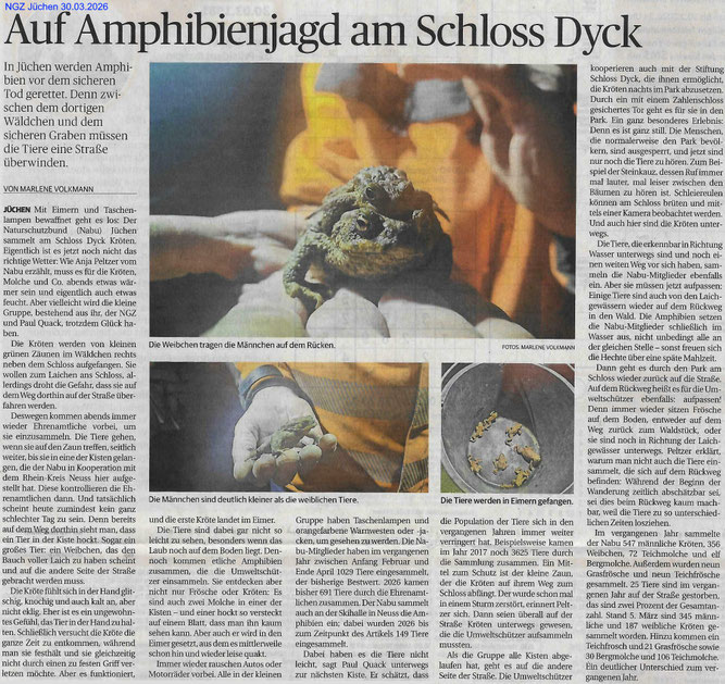 NGZ 2026-03-30 Lokalteil Jüchen