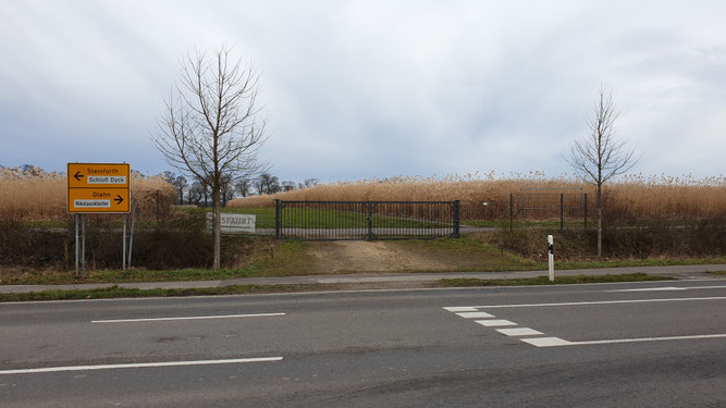 Eingangstor zum Miscanthusfeld, Gegenüber der Klosterstraße