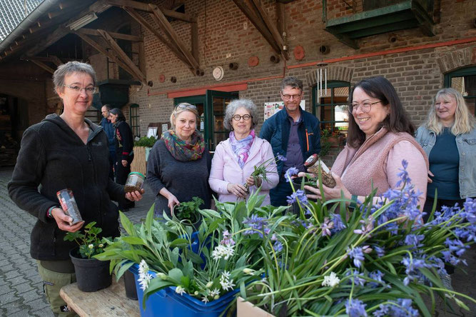 Silja Schäfer, Astrid Henke, Stefanie Prök und Gerlinde Quack (v.l.) auf der Pflanzentauschbörse in Jüchen. Foto. Stefan Büntig 