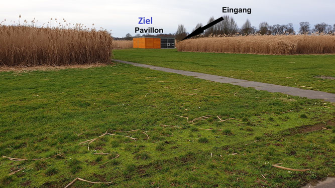 Blick links, ab der Weggabelung im Miscanthusfeld (75 m vom Tor entfernt)