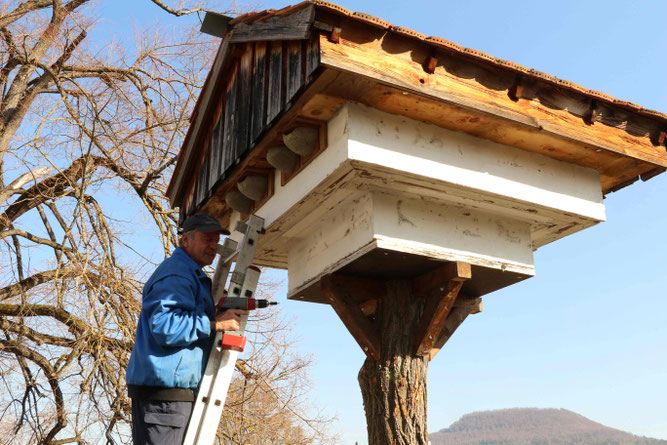 Bernd Wolfer beim Anbringen der Nisthilfen für Mehlschwalben - Foto: Uli Bense