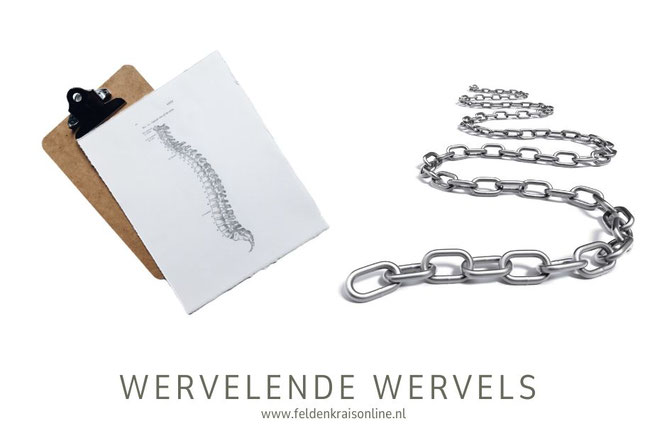 wervelkolom als ketting - Feldenkrais voor een soepele en pijnvrije rug