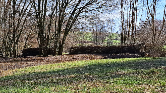 Foto: NABU Fulda und Künzell, hier wurde das Schnittgut der letzten Einsätze auf Benjeshecken abgelegt