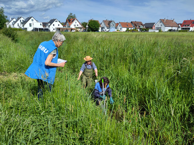 Standardisierte Probenentnahme Foto: NABU/I.Bücker