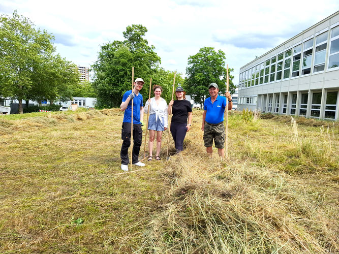 26.06.2025: Das Projekt im 2. Jahr, nach der Heuernte auf dem Campus