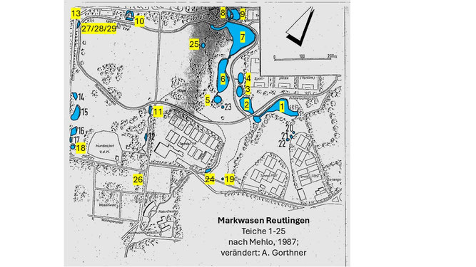 Teiche im Markwasen Reutlingen nach Mehlo (1987)
