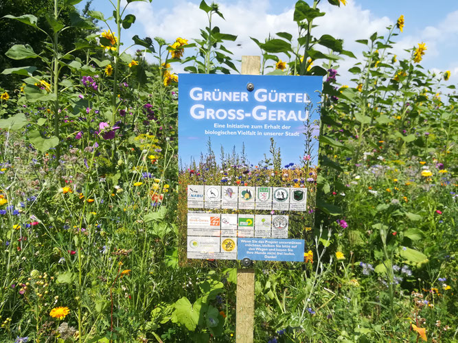 Pojekt Grüner gürtel Groß-Gerau des NABU-groß-Gerau