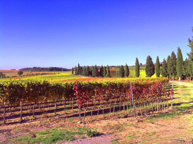 Valdorcia, Toscana, Italia. Itinerari di vino. Blog Etesiaca