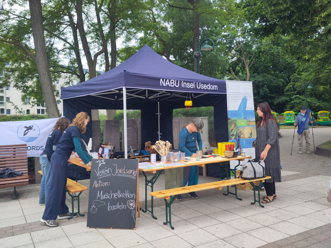 Der neue Pavillon steht und letzte Vorbereitungen