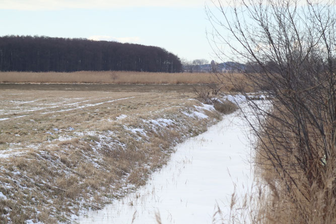 Winterliche Zählbedingungen / ©Jana Freitag