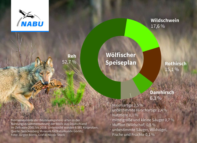 Bild: NABU