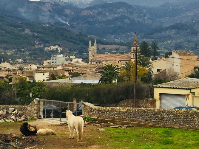 Soller Mallorca