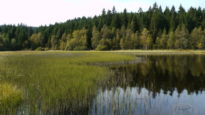 Der Windgfällweiher