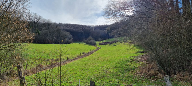 Kulturlandschaft im Bergwinkel, Foto: NABU Steinau