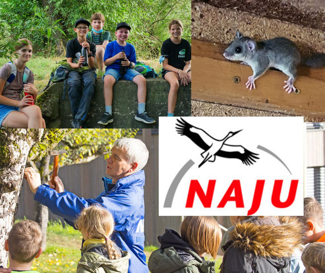 Foto: NAJU, Collage