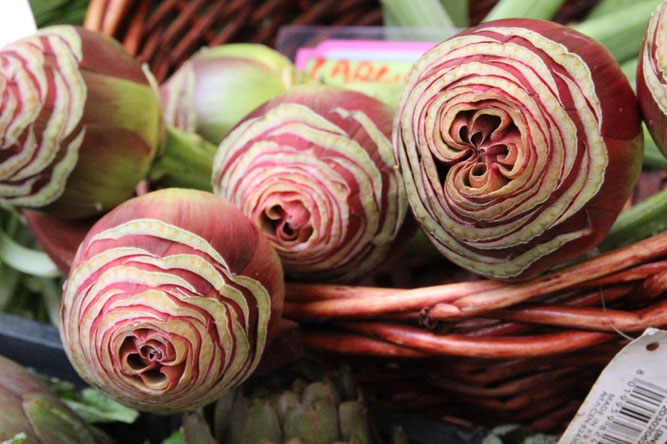 Artichokes, very popular in Rome (Our photo was taken at the daily market Campo di Fiori)