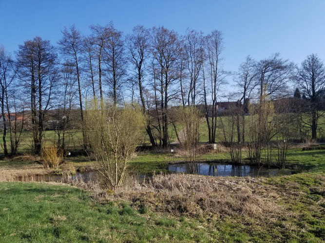 Naturgarten am Stegbach - Foto: NABU Kusel