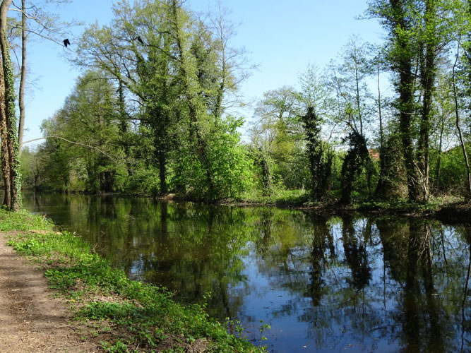 Foto: Kanal in Meppen - Jutta Over 
